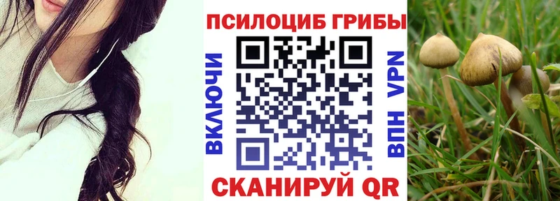 Купить закладки  Саяногорск  Псилоцибиновые грибы ЛСД 